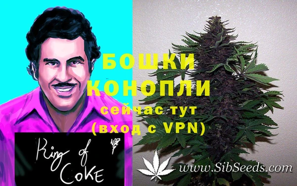 спайс Алзамай