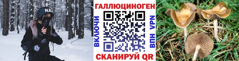 купить   Сухой Лог  МЕГА tor  Галлюциногенные грибы Magic Shrooms 